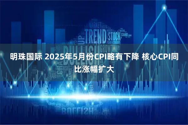 明珠国际 2025年5月份CPI略有下降 核心CPI同比涨幅扩大