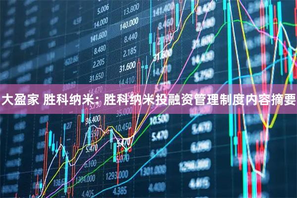 大盈家 胜科纳米: 胜科纳米投融资管理制度内容摘要