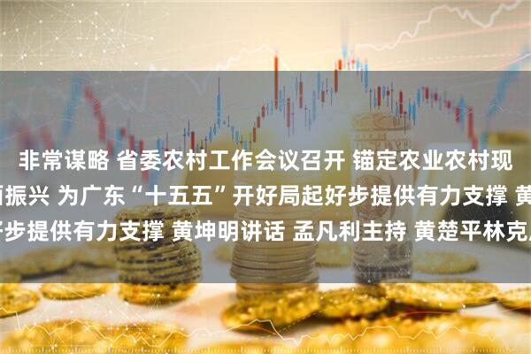 非常谋略 省委农村工作会议召开 锚定农业农村现代化扎实推进乡村全面振兴 为广东“十五五”开好局起好步提供有力支撑 黄坤明讲话 孟凡利主持 黄楚平林克庆出席