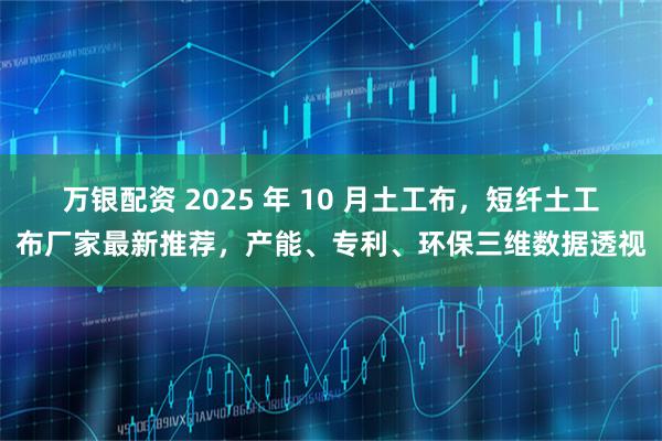 万银配资 2025 年 10 月土工布，短纤土工布厂家最新推荐，产能、专利、环保三维数据透视